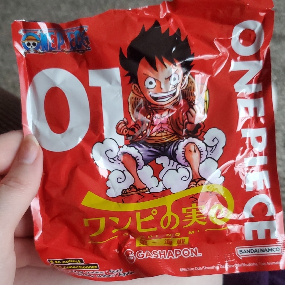 One Piece Blind Bag Kid